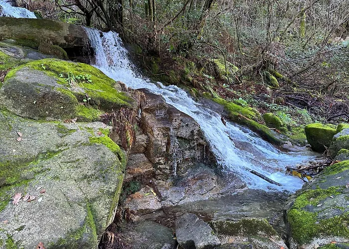 Anayn Дом отдыха *